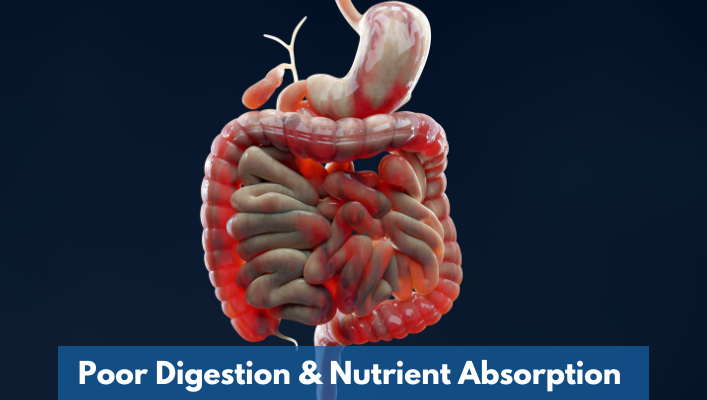 Chronic Diseases